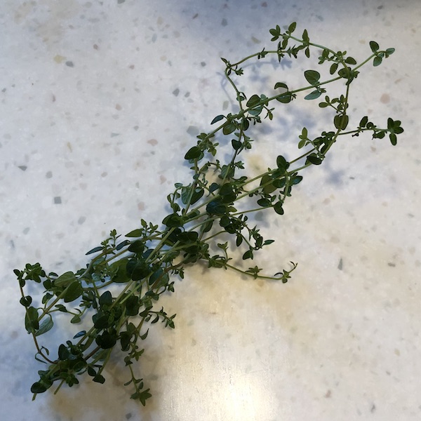 sprigs of fresh thyme on counter