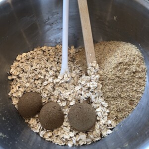 Oats, toasted wheat germ & 3T brown sugar in large stainless steel bowl.